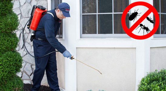 Akyazı Dezenfeksiyon böcek ilaçlama ve haşere kontrolü — ilaclama-tr.com